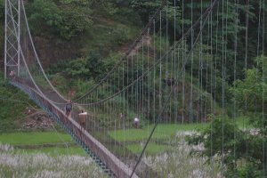 Bridge over Piluwa Khola