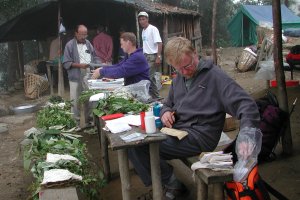 Sorting collections at Dhimsa