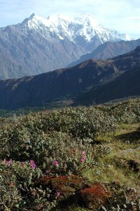 Langtang Himal from Laurebina