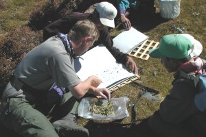 Field pressing of delicate material