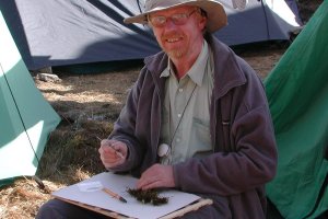 Sorting out moss collections