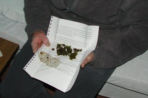 Moss packet used for collection