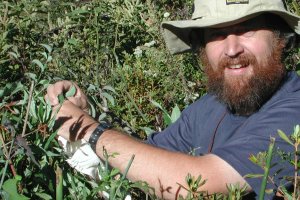 Collecting seed into a bird bag