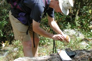 Collecting seed into a paper packet