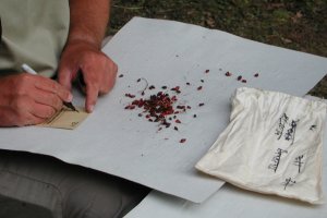 Emptying a bird bag 