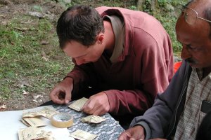 Sealing the paper seed packets with sellotape