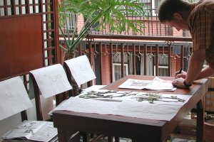 Dividing specimens back at Kathmandu